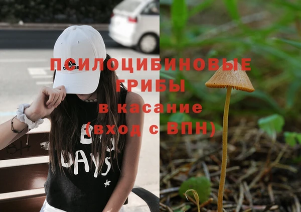таблы Алзамай