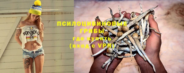 амф Абдулино