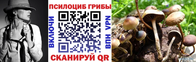 Галлюциногенные грибы мицелий  как найти   MEGA tor  Ухта 